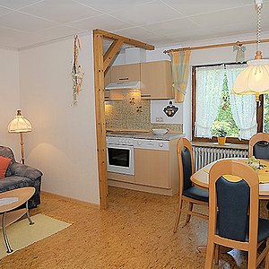 Ferienhof Kleeblatt in Westheim kleine Einbauküche mit Wohn-und Esszimmerbereich